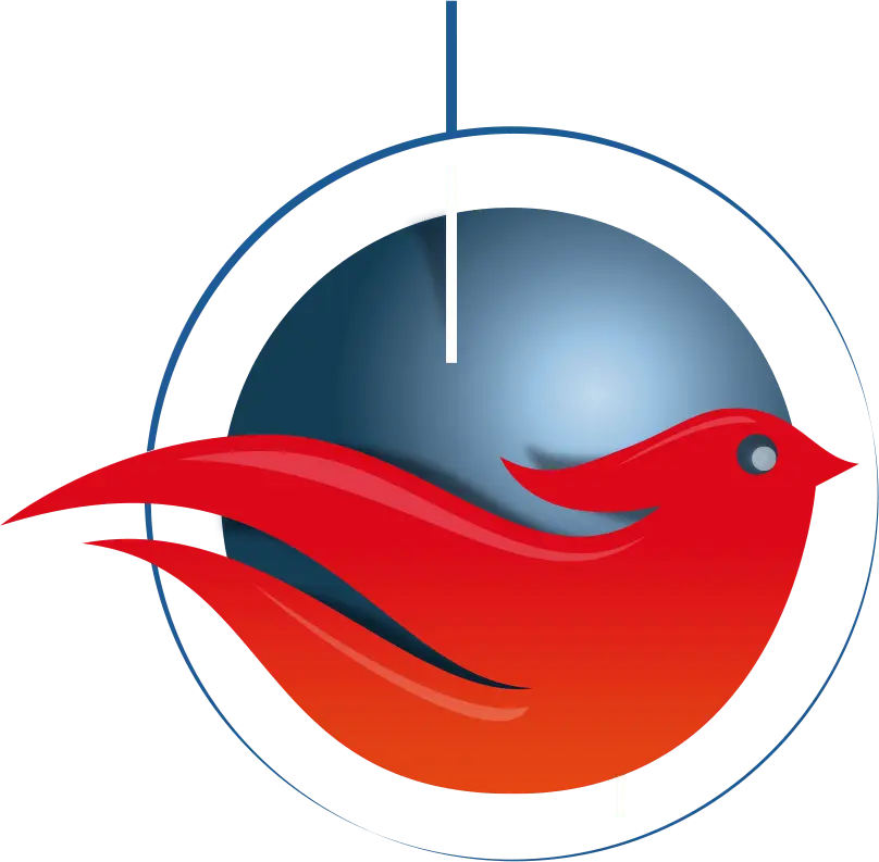 iVoirNet